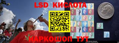 бошки Кингисепп