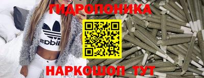 Альфа ПВП Кимры