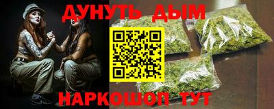 бошки Кингисепп
