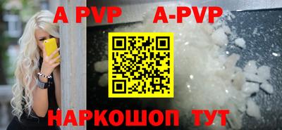 бошки Кингисепп