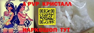 бошки Кингисепп