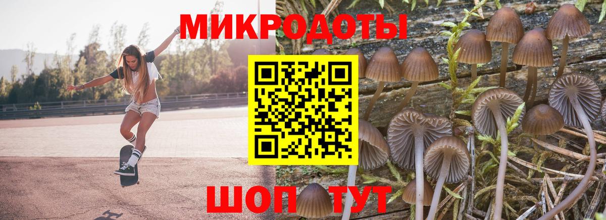 Псилоцибиновые грибы ЛСД Кызыл