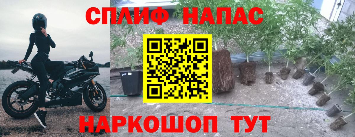Кызыл  Марихуана планчик  Вход с VPN  Бошки Шишки OG Kush 